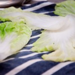 drying leaves