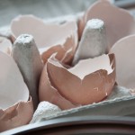 eggshells_0150