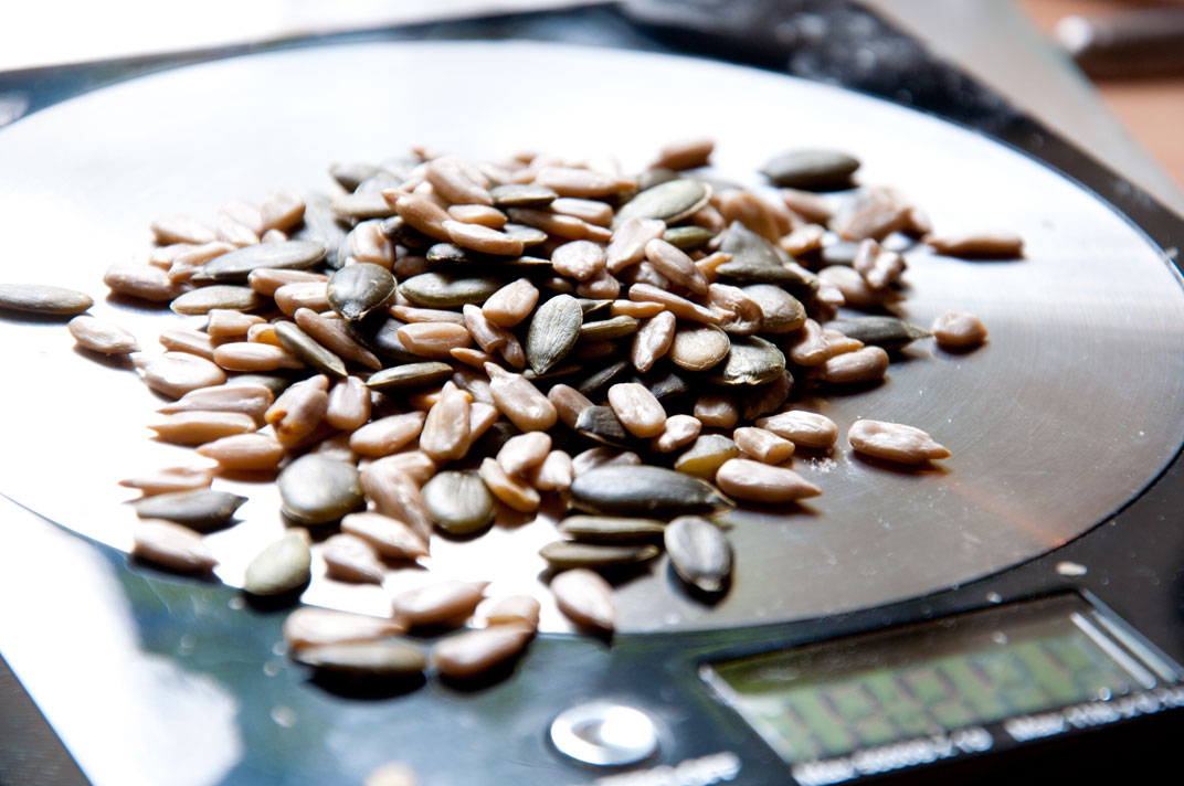 seeds_0087